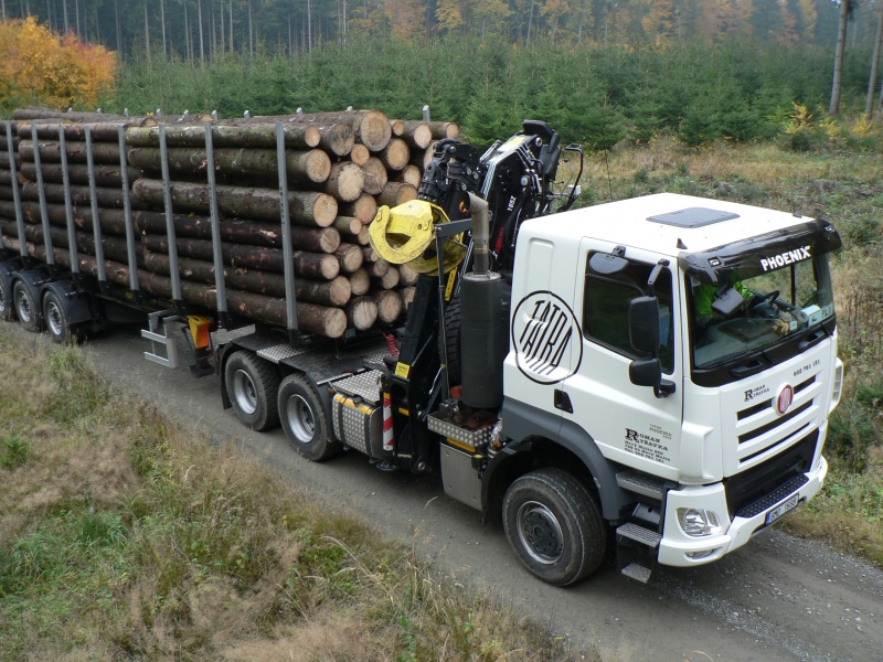 Loglift 165 Z93